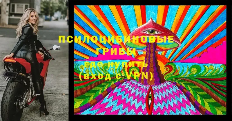 Галлюциногенные грибы Cubensis  Шелехов 